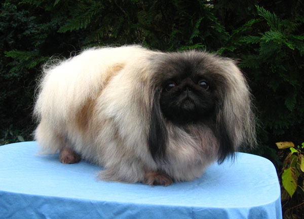 3 år