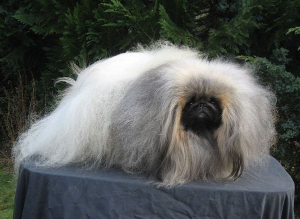 3 år