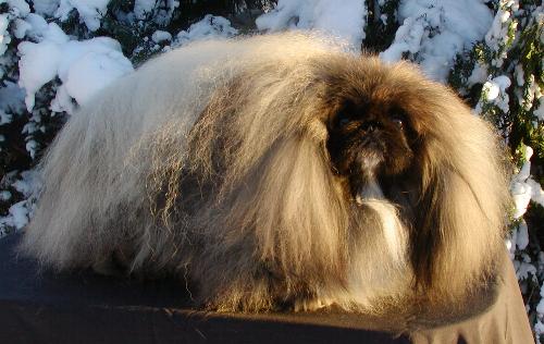 2 år