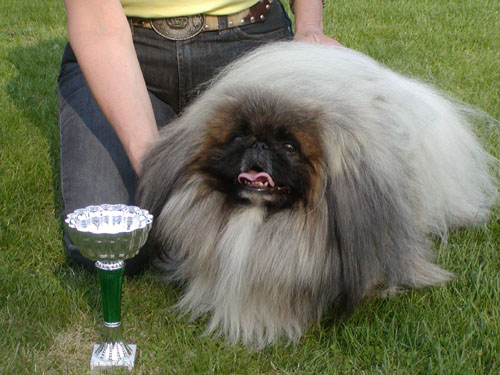 3 ½ år